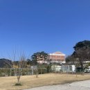 강릉시청맛집 <세레니타>를 가본 후기