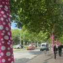 소보농장 | [태교여행] 호주 멜버른 Day3 | 내셔널 갤러리 오브 빅토리아 | 필립아일랜드투어