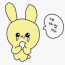 초록약국 이미지