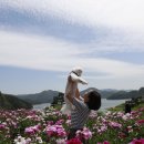 황매산 작약꽃과 옥정호 이미지