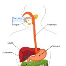 경희속편한한의원 이미지