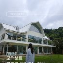 모터원내곡지점 | 가평가볼만한곳 더강, 모터보트가 0원 빠지도 가능