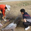 이중인 묘 이미지