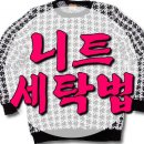 세탁하는 남자들 이미지