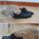 3초 이미지