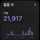 내돈내산 첫 해외여행 싱가포르 여행일지 - 1