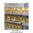 한신잡화점 | 🇯🇵 오사카 여행 2-3 | 다이마루 백화점 우메다점