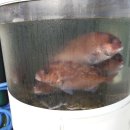 금바다수산 이미지