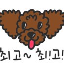 (주)제트에프삭스코리아 이미지