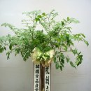 (주) 신화에프에스 이미지
