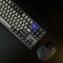 깨끗한 조약돌끼리 부딪히는 소리! tiger80lite+하이무 바다소금 스위치 후기