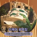 광명식품 - 수원시 권선구 | 이케아 광명점 방문 후기 | 푸드코트 메뉴 신제품 추천 제품 총정리