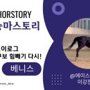에이스카랜드 네이버블로그