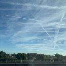 피자투어 이미지