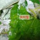 모시칼국수 이미지