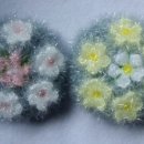 한아름 꽃 이미지