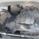 대구대물피싱 이미지