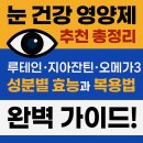 눈 건강 영양제 추천 총정리 👁 루테인·지아잔틴·오메가3 성분별 효능과 복용법 완벽 가이드!