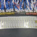 신성관 일동 합기도 이미지