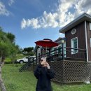 솔내음숲속작은집 이미지