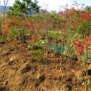 재한농장 이미지