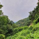 와리농장 이미지