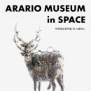 아라리오뮤지엄 인스페이스 이미지