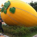 내고향휴게소 이미지