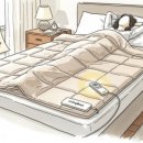 올원리빙 | 온누리상품권 최대 25% 할인, 소비가 곧 혜택이 되는 기회