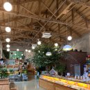 누룩제빵소 | 만천하 스카이워크 카페 단양 베이커리 스카이라운지 Bakery &amp; Coffee 브런치 후기