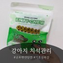 바비덴탈 | 강아지치석 관리 고민이라면? 굿포펫 덴탈껌 급여 후기 | 푸들 비숑 보더콜리 기호성테스트 | 댕댕이...