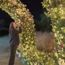 봄커뮤니케이션 | 부여 국화축제 궁남지 야경명소 무료 가볼만한곳 다녀온 후기