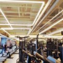 평화로길 이미지