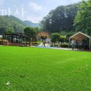 시고르까사 이미지