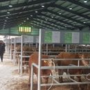 한우전자 이미지