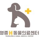 숲 동물의료센터 이미지