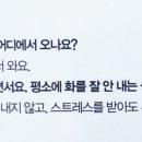 와이컴퍼니