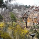 숲속펜션 이미지