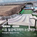 (주)아성다이소 시흥월곶점 | 시흥 월곶에코피아 눈썰매장 내돈내산 후기 I 아이와함께 겨울 놀거리 추천
