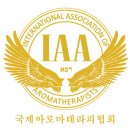 천연비누+아로마 생활용품 만들기 이미지