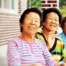 성의농장 이미지