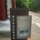 용덕저수지 | 용인 용덕사 &amp; 용덕저수지 둘레길 산책 코스 추천｜전설이 깃든 사찰과 힐링 저수지 여행