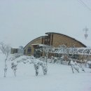 미르목장 이미지