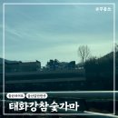 (주)태화강참숯가마 이미지