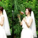 레인보우홍대