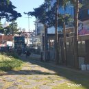 최가축병원 | 시장따라소소한걷기 5코스..후기