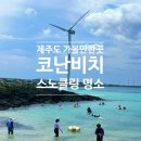 자자 | 제주도 스노클링 명소! 소문 자자한 코난비치 실제방문후기
