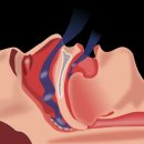 낙성대한의원 이미지