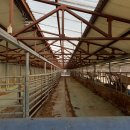 시내목장 이미지