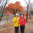 군포초등학교 이미지